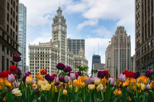 How to Apply for an Ecuador Retirement Visa in Chicago