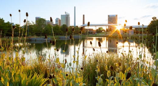 How to Apply for a Japan Visa in Birmingham