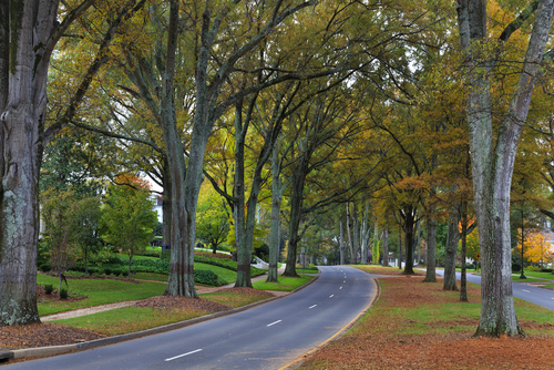How to Apply for a Rwanda Visa in Charlotte
