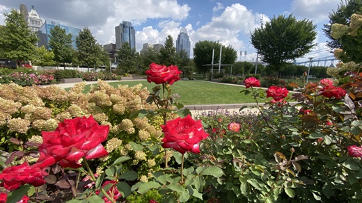  How to Apply for a Singapore Visa in Cincinnati