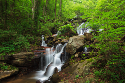 Best Tourist Attractions and Places to Visit in Atlanta
