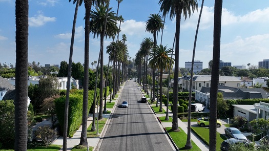 How to Apply for a Guinea Visa in Los Angeles