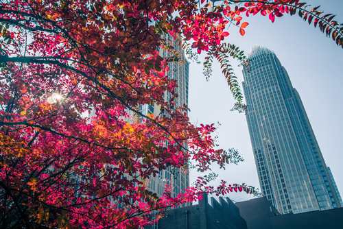 How to Apply for a Mali Visa in Charlotte