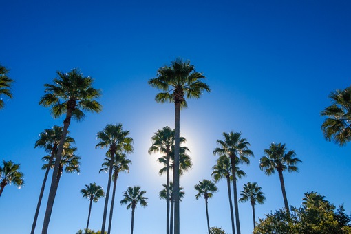 How to Apply for a China Visa in Orlando