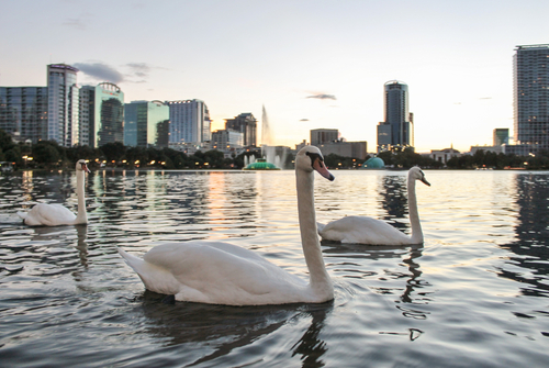 Where to Study English in Orlando