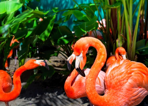 How to Apply for a Philippines Visa in Orlando