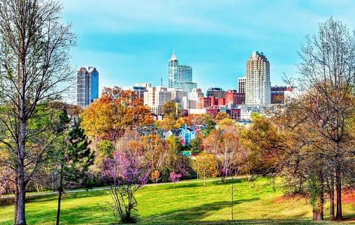 How to Apply for a Japan Visa in Raleigh