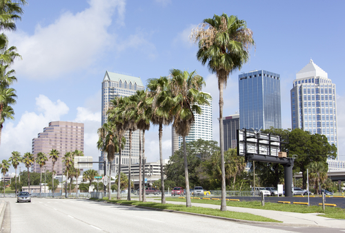 How to Apply for a Guinea Visa in Tampa