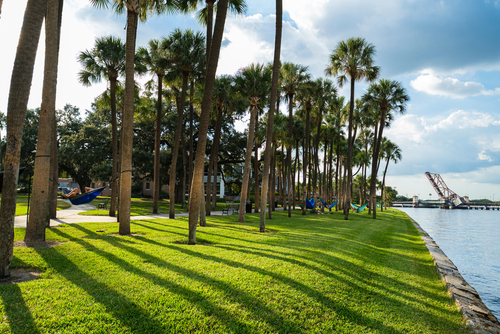 How to Apply for a Turkey Visa in Tampa