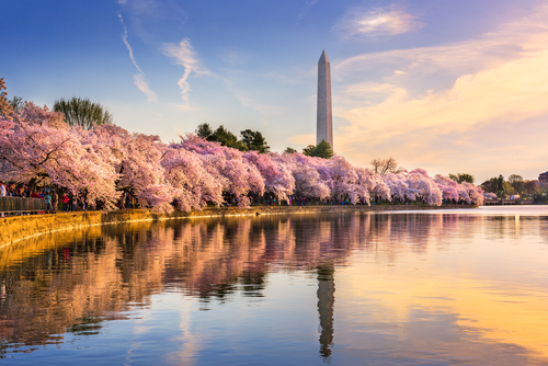How to Apply for a Thai Visa in Washington D.C.